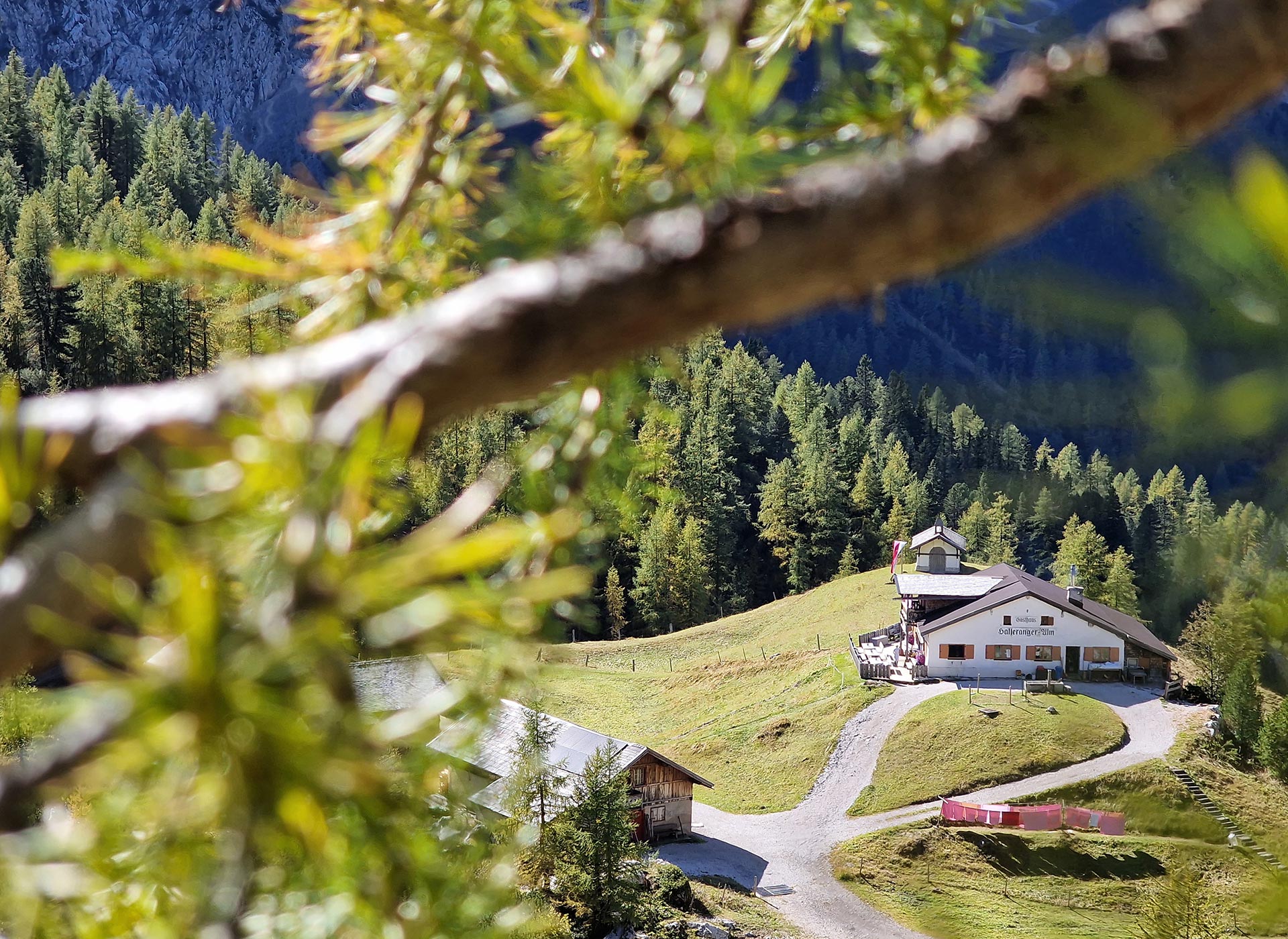 Halleranger Alm im Karwendel